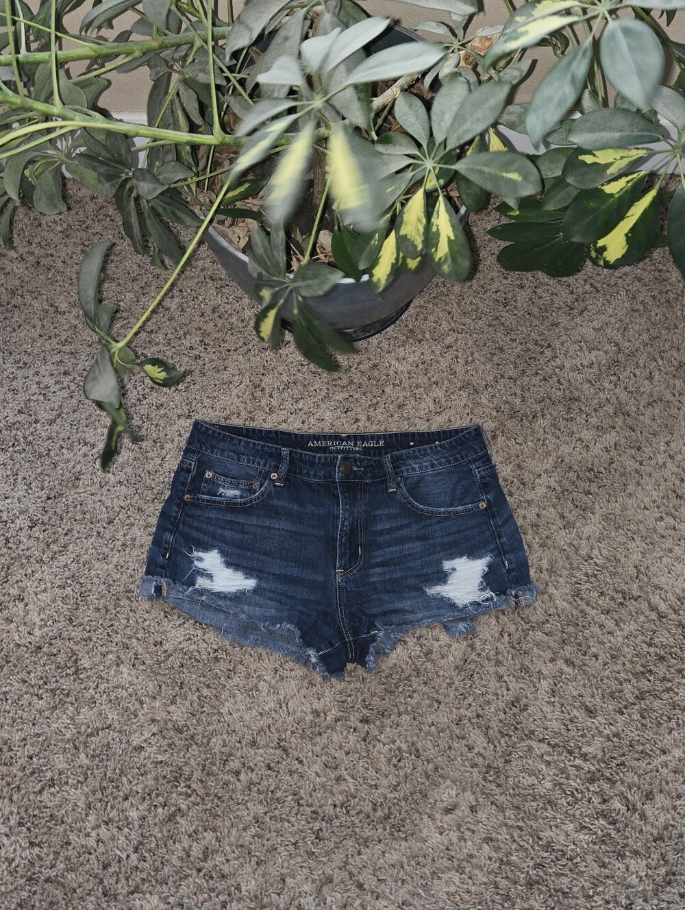 American eagle outfitters tomgirl shorties Sz12